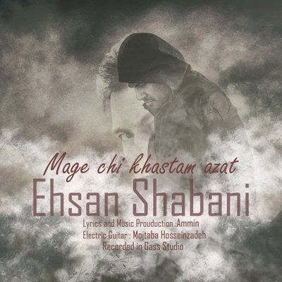 Ehsan Shabani