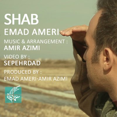 Emad Ameri