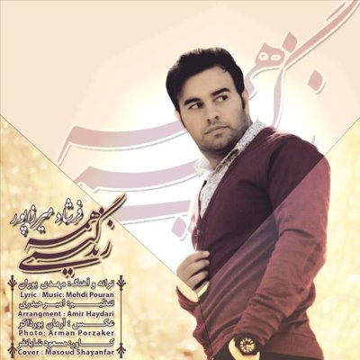 Farshad Mirzapoor