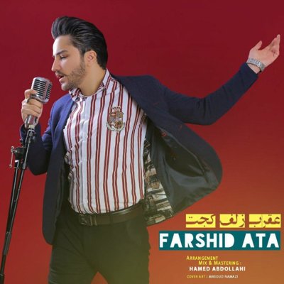Farshid Ata