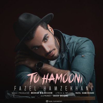 Fazel Hamzekhani