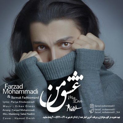 Farzad Mohammadi & Barmak Farhoomand