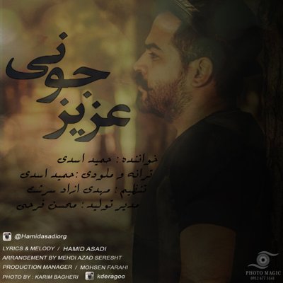 Hamid Asadi