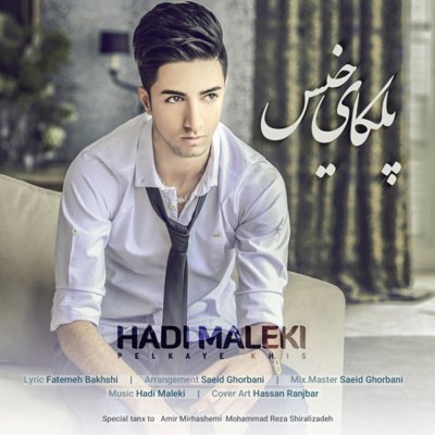 Hadi Maleki