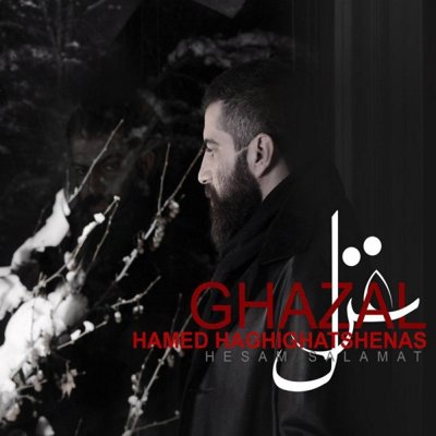 Hamed Haghighat Shenas