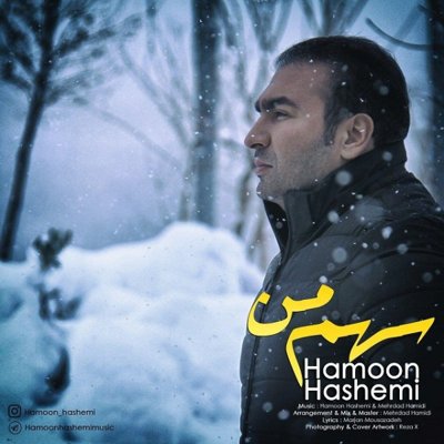 Hamoon Hashemi
