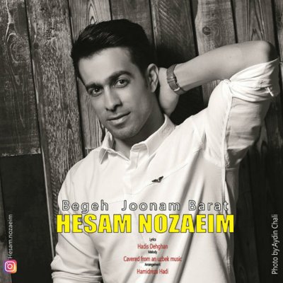 Hesam Nozaeim