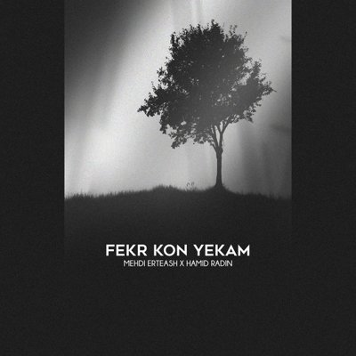 Mehdi Erteash & Hamid Radin