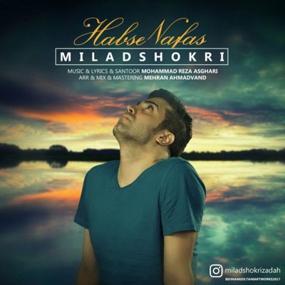 Milad Shokri