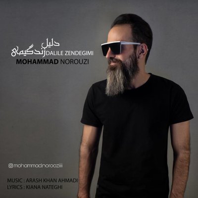 Mohammad Norouzi