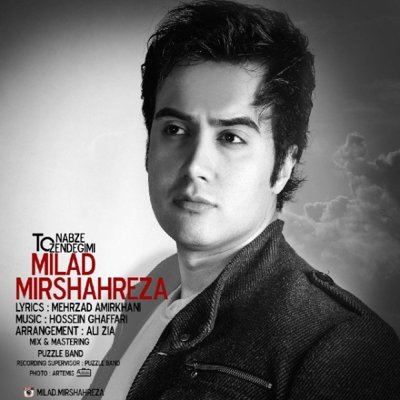 Milad MirShahreza