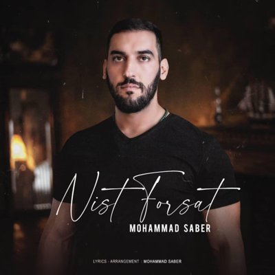 Mohammad Saber