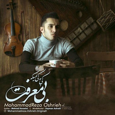 MohammadReza Oshrieh