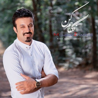 Mohsen Zamani