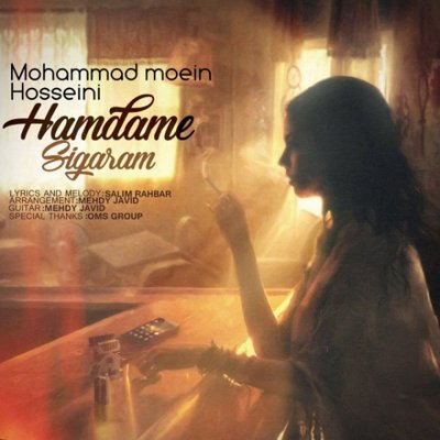 Mohammad Moein Hosseini