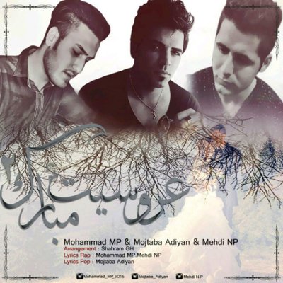 Mohammad MP & Mojtaba Adiyan & Mehdi NP