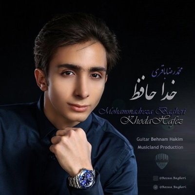 Mohammadreza Bagheri