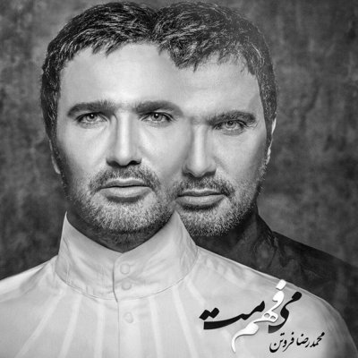 Mohammadreza Foroutan