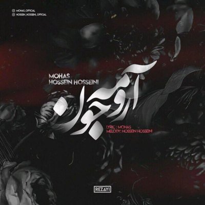 Mohas & Hossein Hosseini