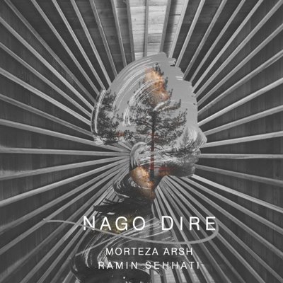 Morteza Arsh & Ramin Sehhati