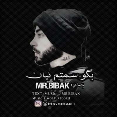 Mr.Bibak