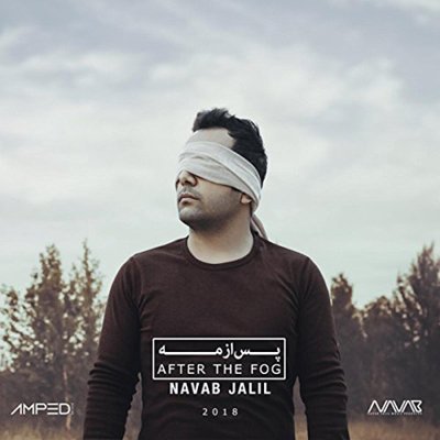 Navab Jalil