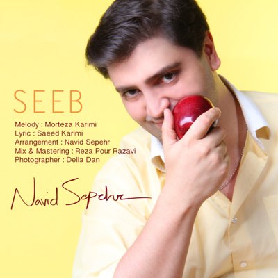 Navid Sepehr