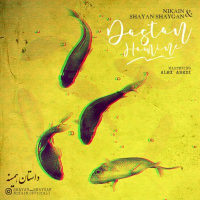 Nikain & Shayan Shaygan