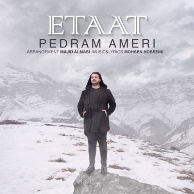 Pedram Ameri