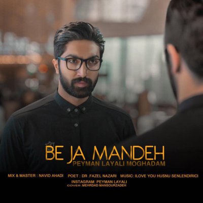 Peyman Layali Moghadam