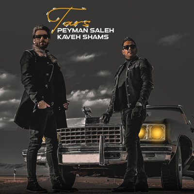 Peyman Saleh & Kaveh Shams