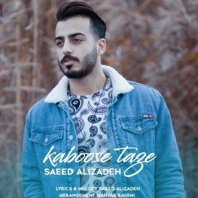 Saeed Alizadeh