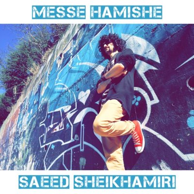 Saeed SheikhAmiri
