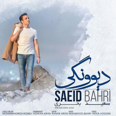 Saeid Bahri