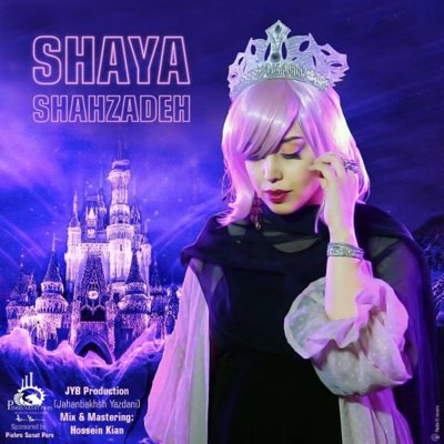 Shaya Zandi