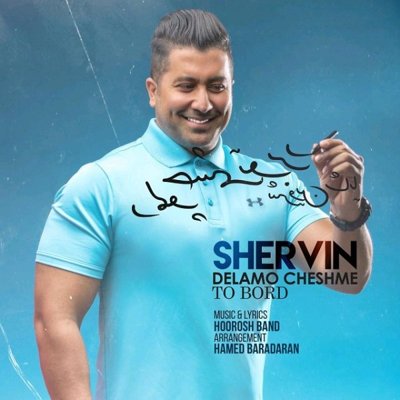 Shervin Shaya