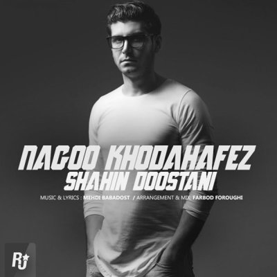 Shahin Doostani