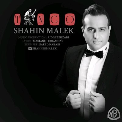 Shahin Malek