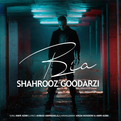 Shahrooz Goodarzi