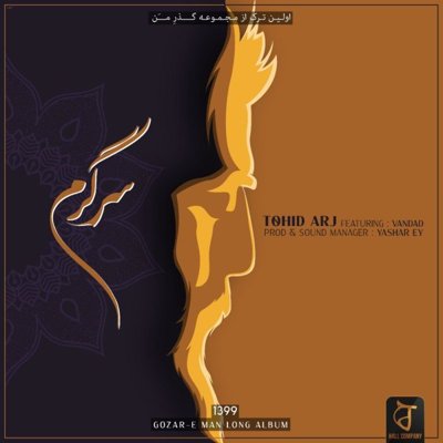 Tohid Arj