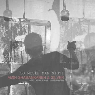 Amin Shabankareh & Silver