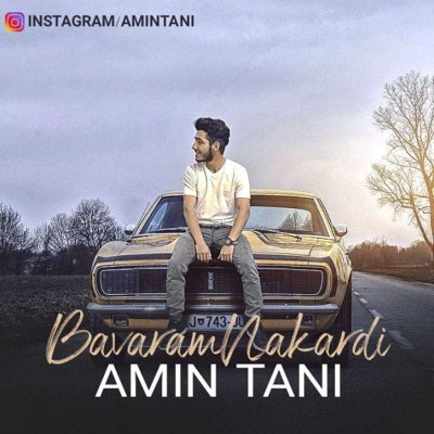 Amin Tani
