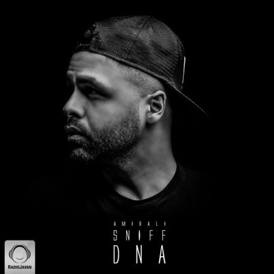AmirAli Sniff