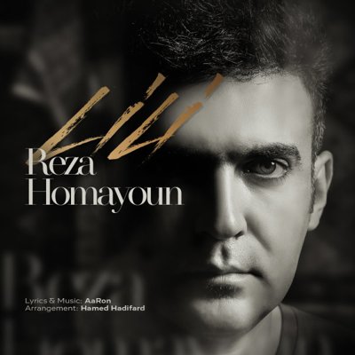Reza Homayoun