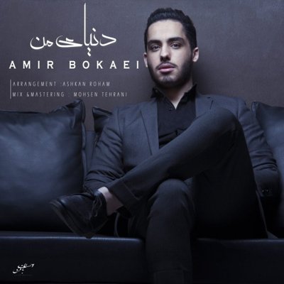 Amir Bokaei