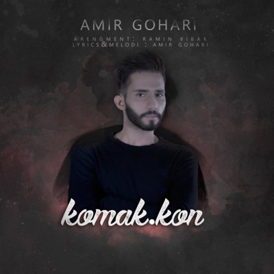 Amir Gohari