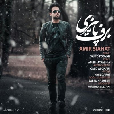 Amir Siahat