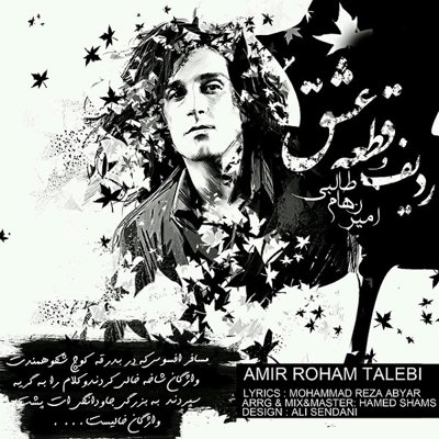 Amir Roham Talebi