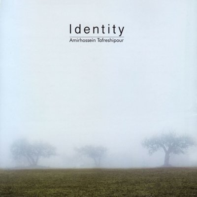 Amirhossein Tafreshipour