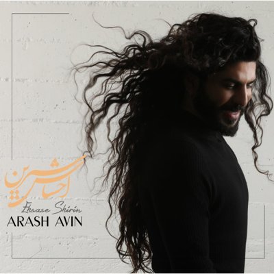 Arash Avin